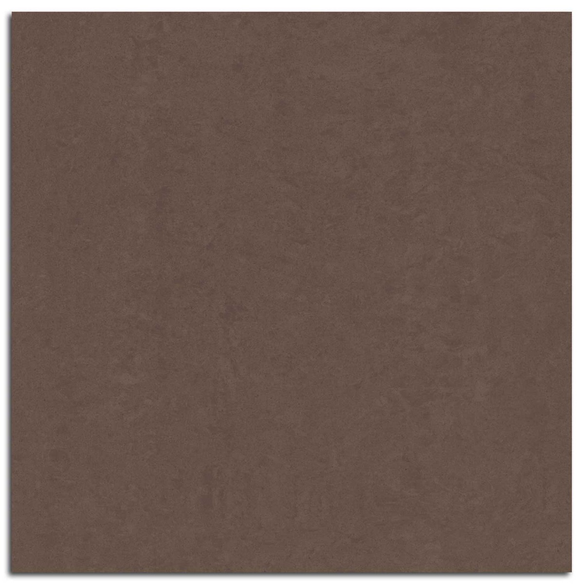 RAK Lounge Polished Polished Tile - Brown 600x600mm